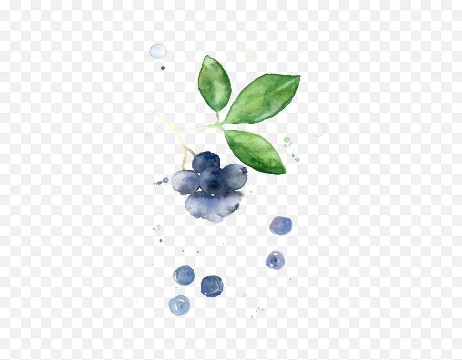 Health Benefits Of Blueberries - Apres Food Co Emoji,Blueberries Png
