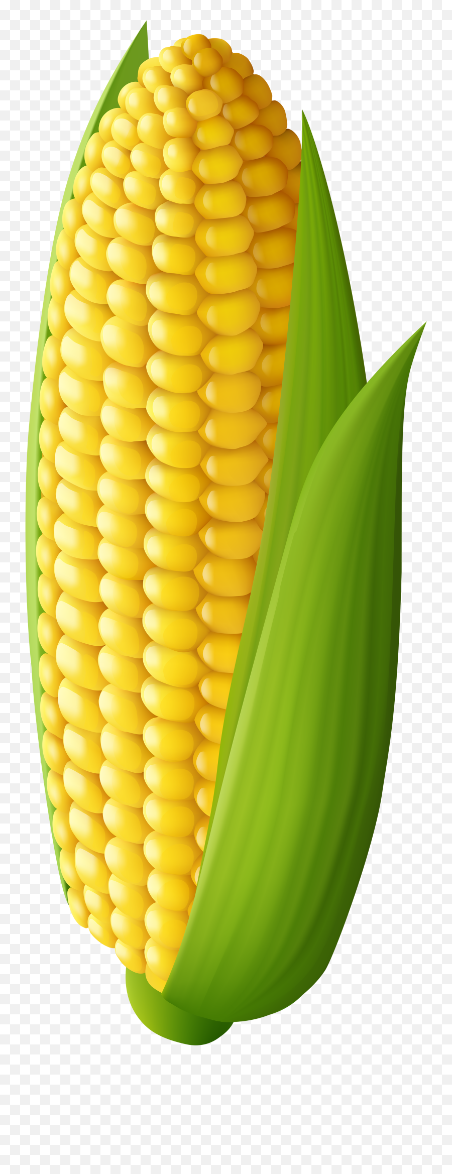 Corn Clipart Transparent - Thanksgiving Clip Corn On The Cob Emoji,Corn Clipart