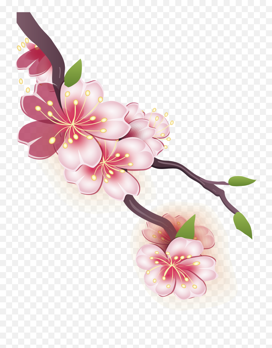 Download Drawn Cherry Blossom Design - Drawing Of Cherry Cherry Blossom Png Drawing Emoji,Cherry Blossom Png