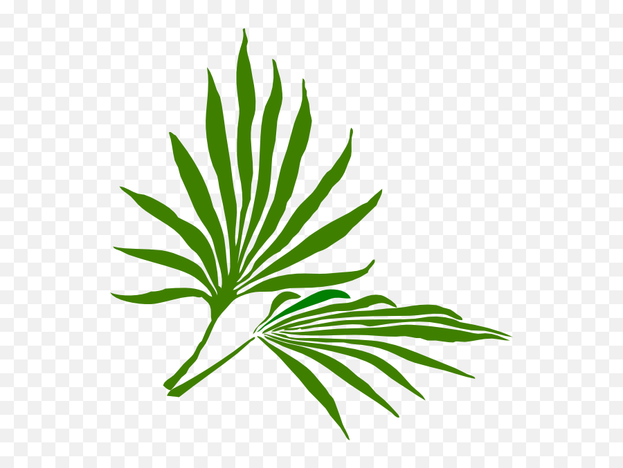 Sunday - Clip Art Palm Leaves Transparent Png Original Emoji,Palm Leaves Transparent