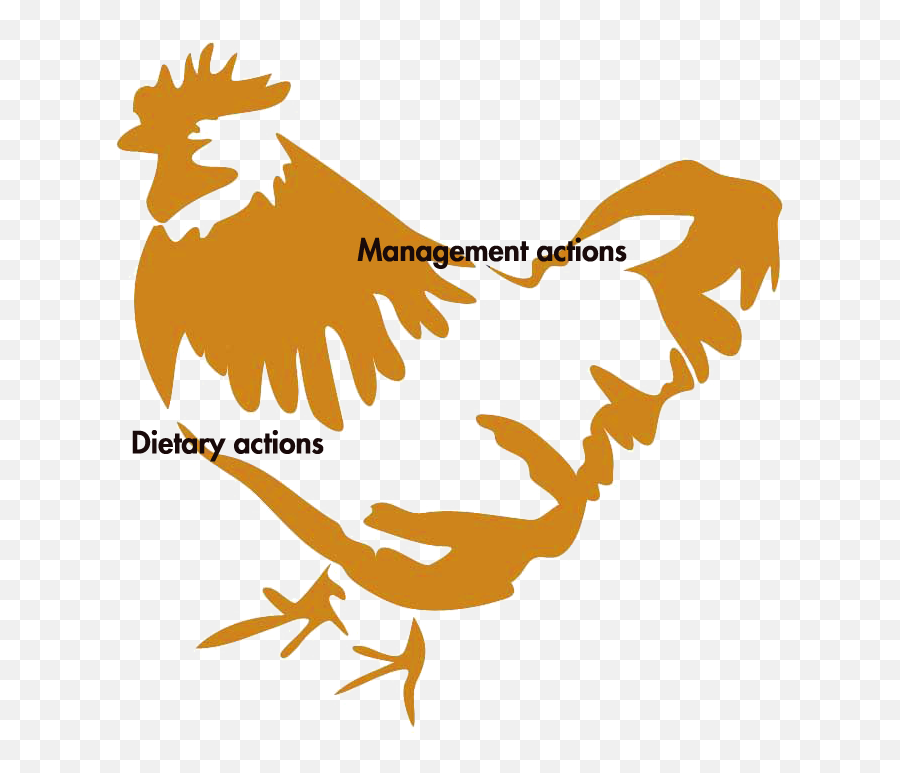 Poultryworld - Comb Emoji,Farm Animals Clipart