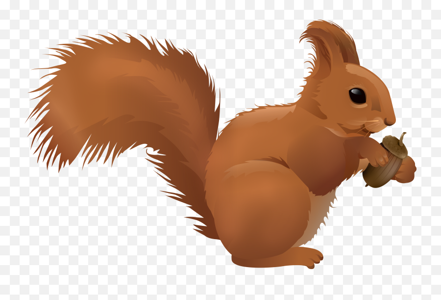Squirrel Cartoon Png Clipart Cartoons Png Clip Art Squirrel - Squirrel Clipart Png Emoji,Squirrel Png