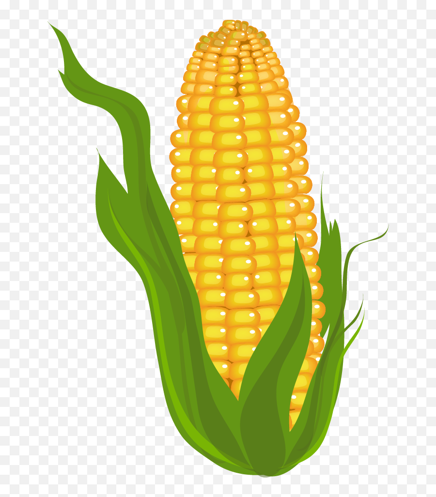 Corn Clip Art Free Free Clipart Images - Corn Cliparts Emoji,Corn Clipart