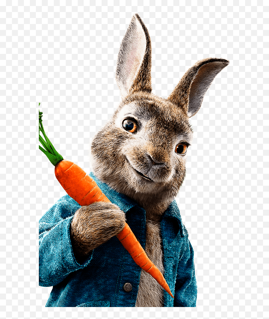 Peter - Peter Rabbit Emoji,Peter Rabbit Png
