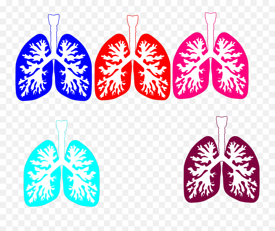 Lung Color Tika Hp Svg Vector Lung - Girly Emoji,Lung Clipart