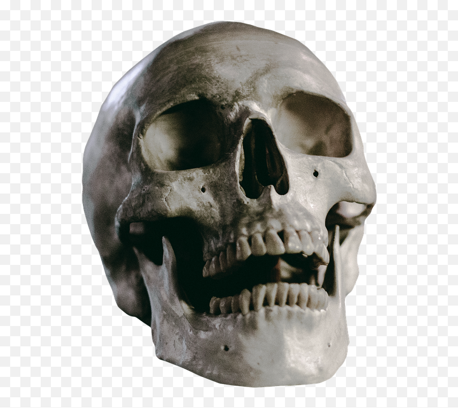 Skull Skeleton Head Emoji,Skeleton Head Png