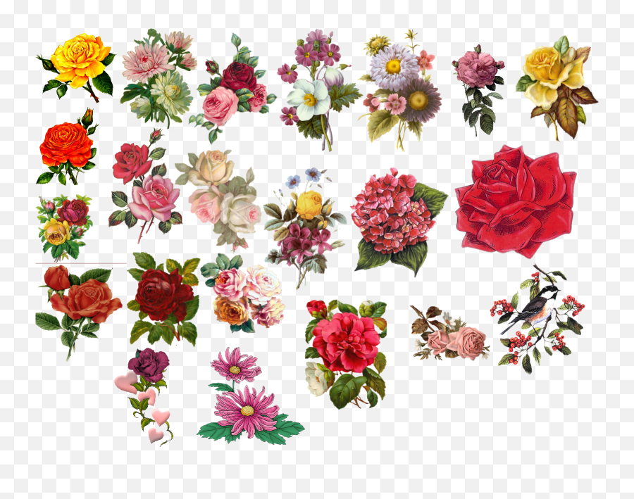 Bright Colored Flowers Wallpaper Search Results - Page 47 Emoji,Vintage Flower Png