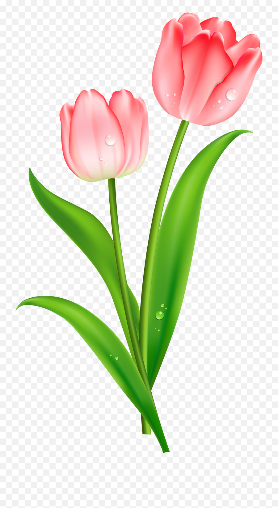 Download Tulip Clip Art Hq Png Image - Tulip Clipart Emoji,Tulip Clipart