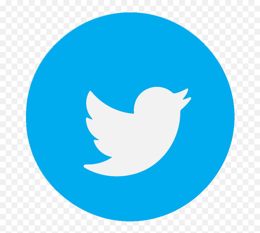 Download Hd Mattel Play Review - Logos Of Social Media Apps Transparent Background Twitter Logo Emoji,Mattel Logo