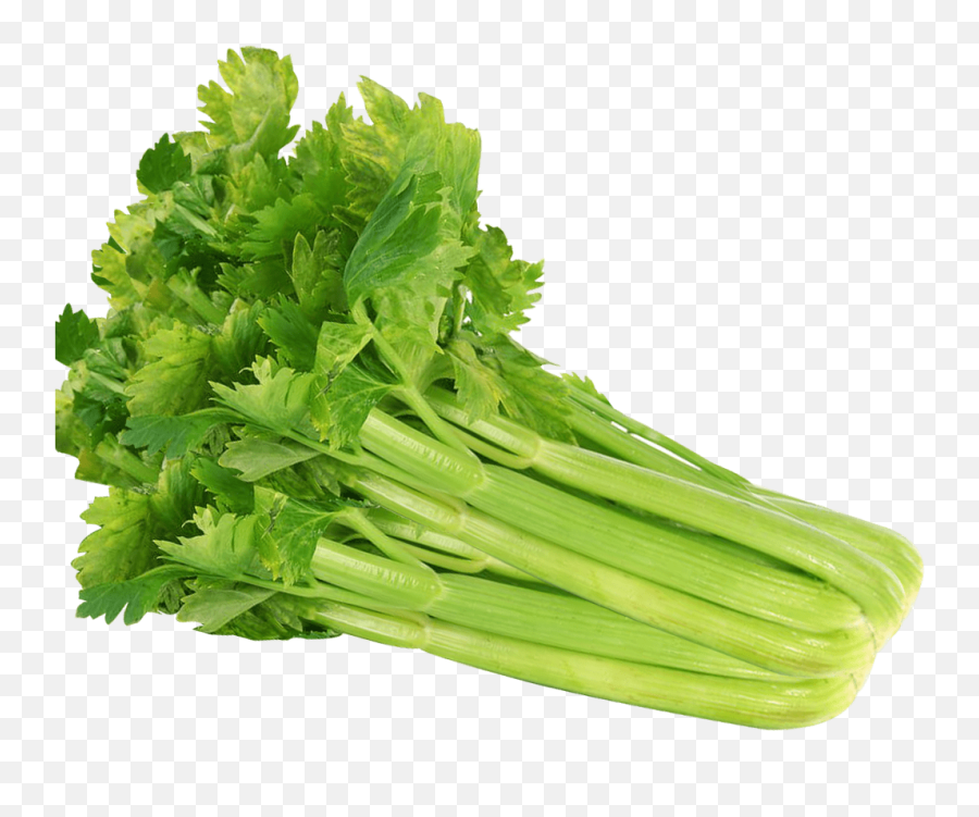 Celery Png Image - Celery Transparent Background Emoji,Celery Png