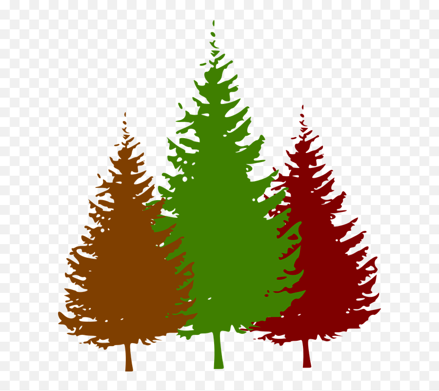 Pine Tree Silhouette - Clipart Pine Tree Cartoon Emoji,Pine Tree Silhouette Png