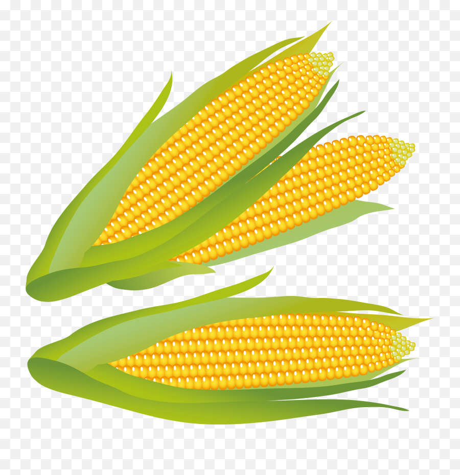 Corn Clip Art Free Clipart Images 3 - Corn Clipart Free Emoji,Corn Clipart