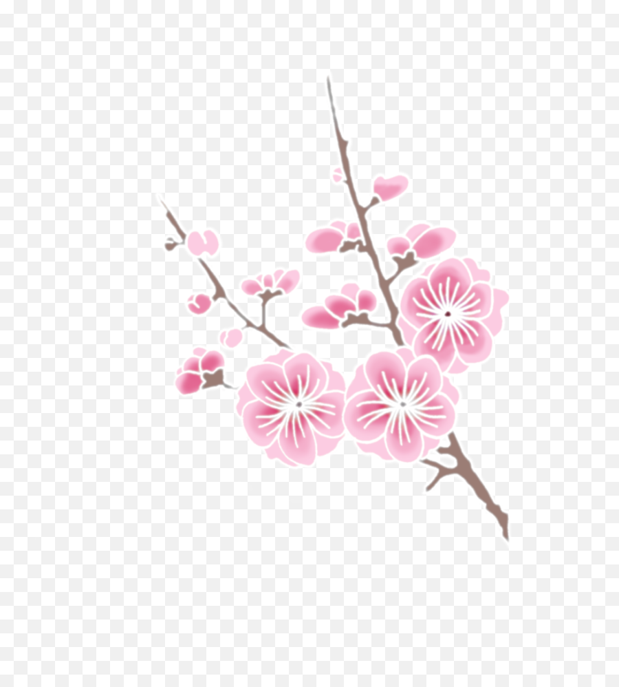 Cherry Blossom Png - Google Search Flower Art Cherry Cherry Blossom Emoji,Cherry Blossom Png