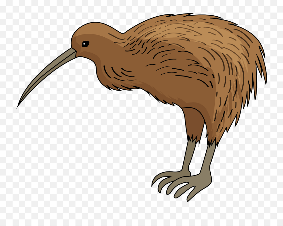 Kiwi Bird Clipart - Kiwi Bird Clipart Emoji,Bird Clipart