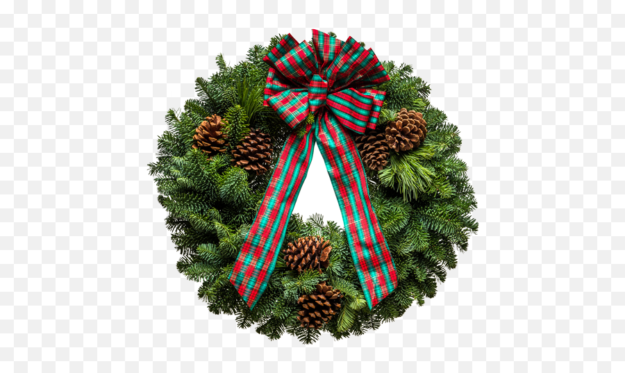 Fresh Christmas Evergreen From Christmas Forest - Great Christmas Day Emoji,Christmas Wreath Png