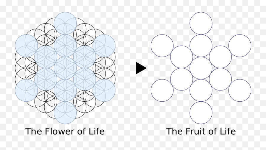 Filefruit - Oflife Stages 61circlesto13circlessvg Vector Image Fruit Of Life Emoji,Bring Me The Horizon Logo