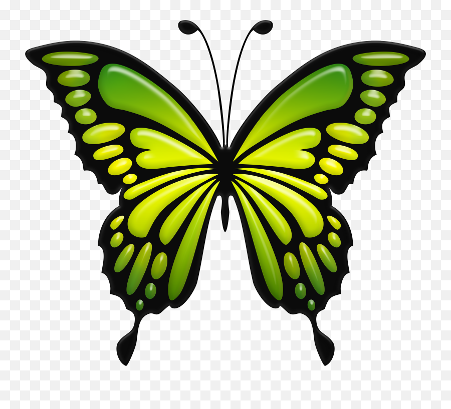 Download Green Butterfly Png Png Image With No Background Emoji,Butterfly Png