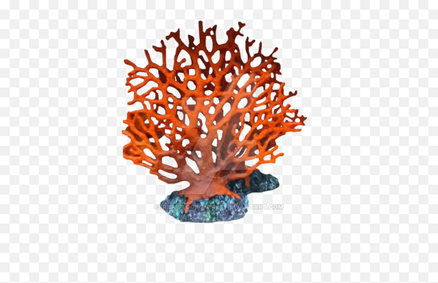 Coral Transparent Background Png - Coral Reef Png Real Emoji,Coral Png