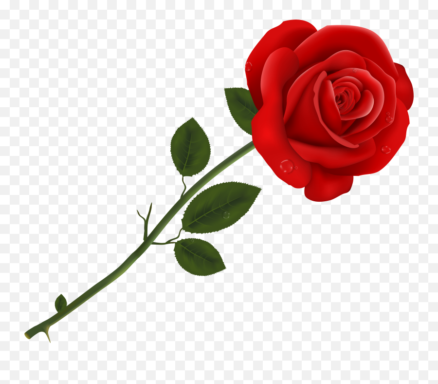 Transparent Background Rose Clipart - Single Rose Clipart Png Emoji,Rose Clipart