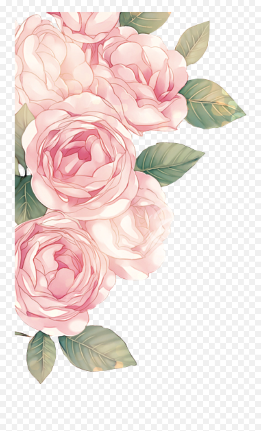 Flower Flower Aesthetic Transparent Background - Peonias Png Emoji,Aesthetic Transparent