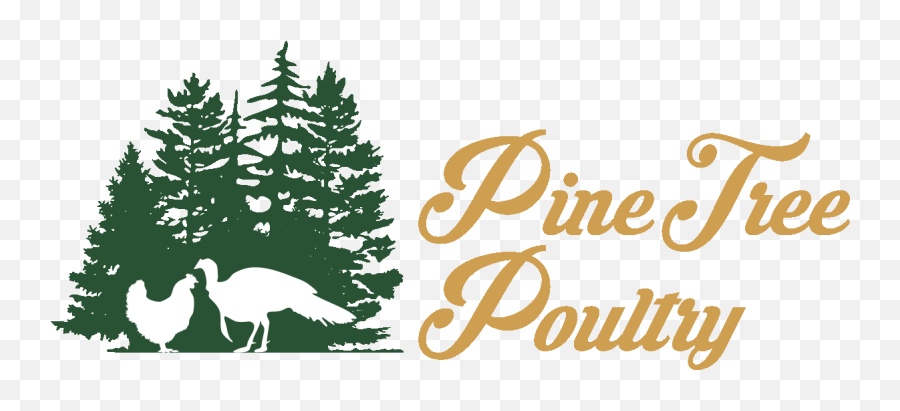 Farm Fresh Turkey From New Sharon Maine - Pine Tree Emoji,Pine Tree Logo