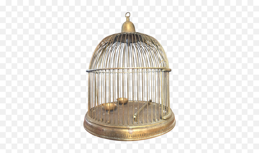 Bird Cage Png - Vintage Bird Cage Png Cage 1432203 Vippng Dome Bird Cage Brass Emoji,Cage Png