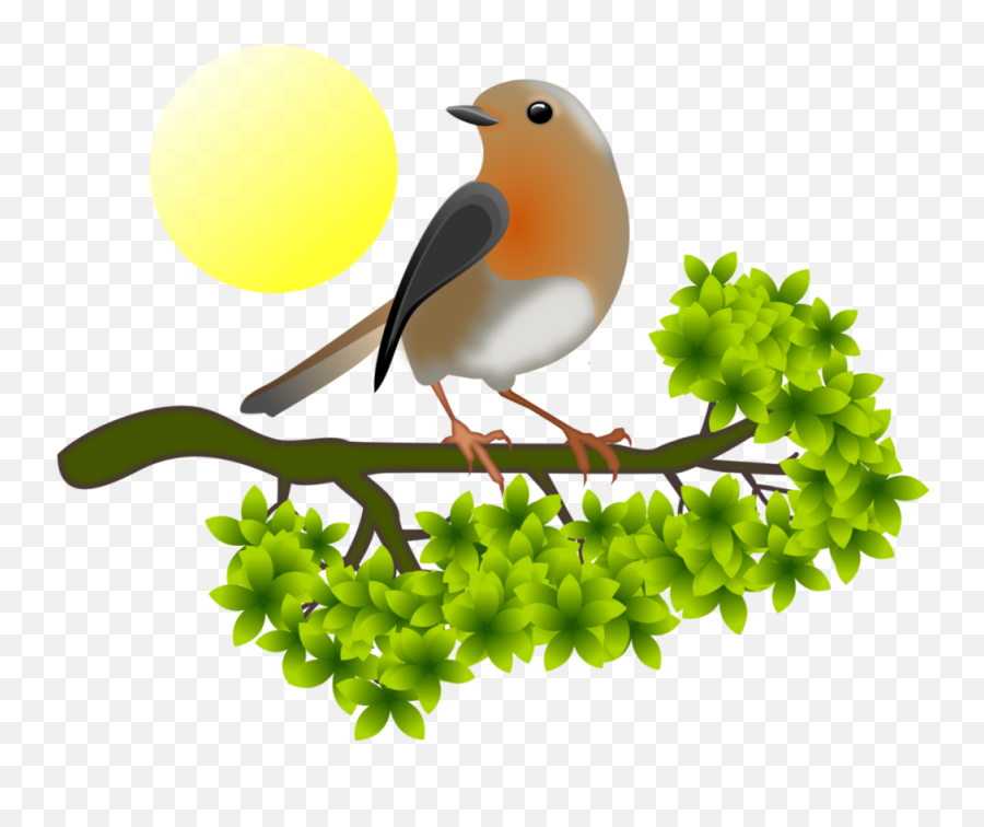 European Robin Png Hd - European Robin Transparent Cartoon Emoji,Robin Clipart