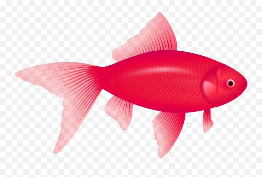 One Fish Two Fish Red Fish Blue Fish Clip Art - Peces De Emoji,Fish Emoji Png