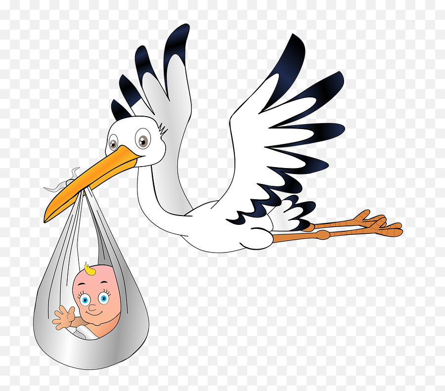 Free Photo Pregnant Baby Stork Sky Birth Rattle Stork Young Emoji,Baby Girl Rattle Clipart