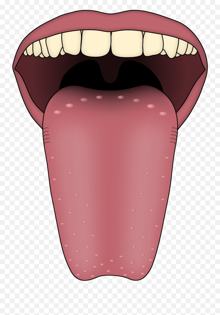 Clipart Kids Tongue Clipart Kids - Sense Organs Tongue Emoji,Tongue Clipart