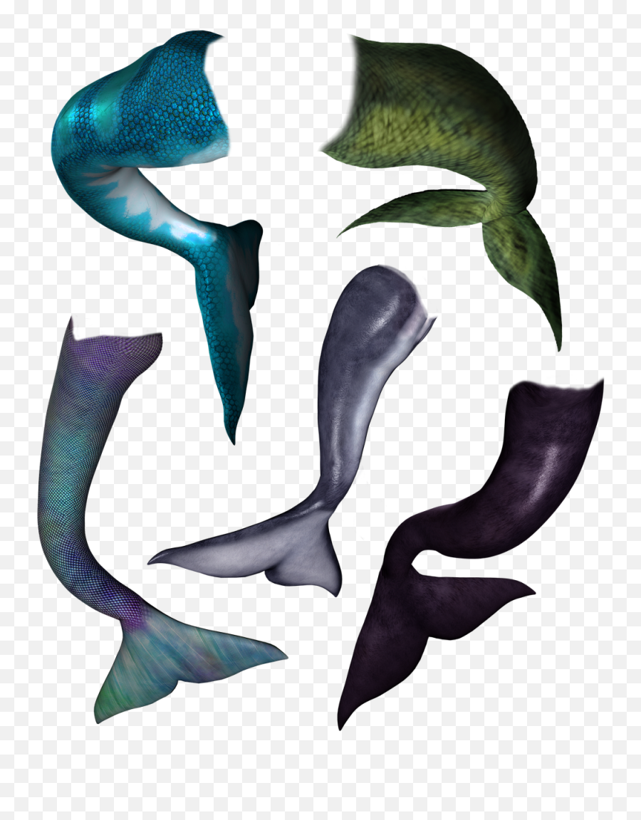 Mermaid Tail Dolphin - Mermaid Tail Hd Emoji,Mermaid Tail Png