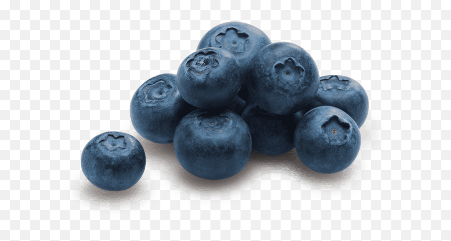 Blueberries - Blueberries Emoji,Blueberries Png