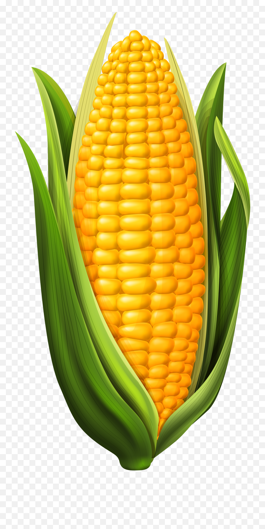 Clipart Corn - Corn Png Emoji,Corn Clipart