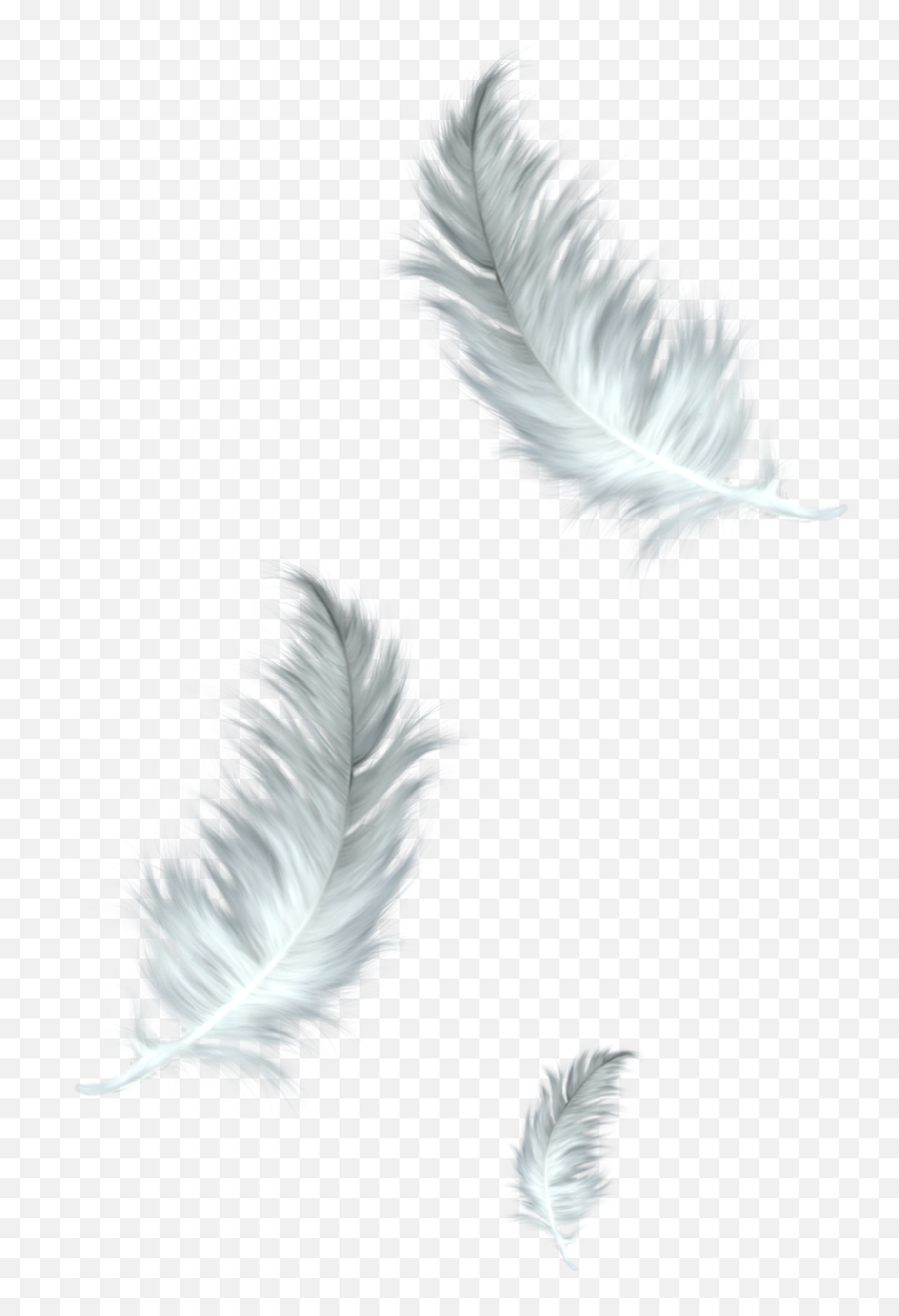 The Floating Feather Bird Clip Art - Feathers Png Download Transparent Background Feather Clipart Emoji,Feather Clipart Black And White