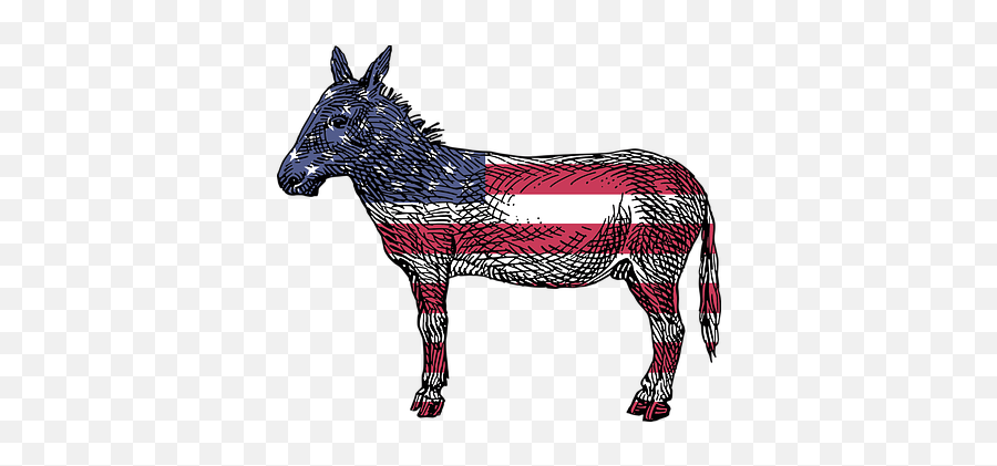 200 Free Usa Flag U0026 Usa Vectors - Pixabay Reasons To Vote For Democrats A Comprehensive Guide Emoji,God Bless America Clipart