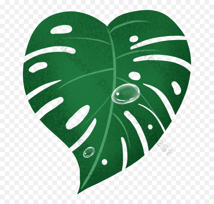 A Large Piece Of Monstera Leaf Emoji,Monstera Leaf Png