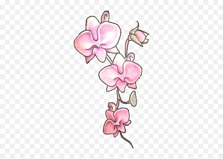 Download Pink Orchid Flowers Tattoos Design - Tattoo Png Emoji,Flower Tattoo Png
