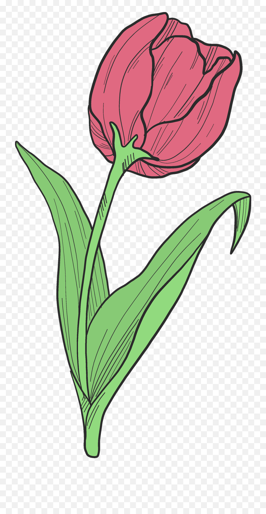 Red Tulip Clipart - Tulip Clipart Emoji,Tulip Clipart