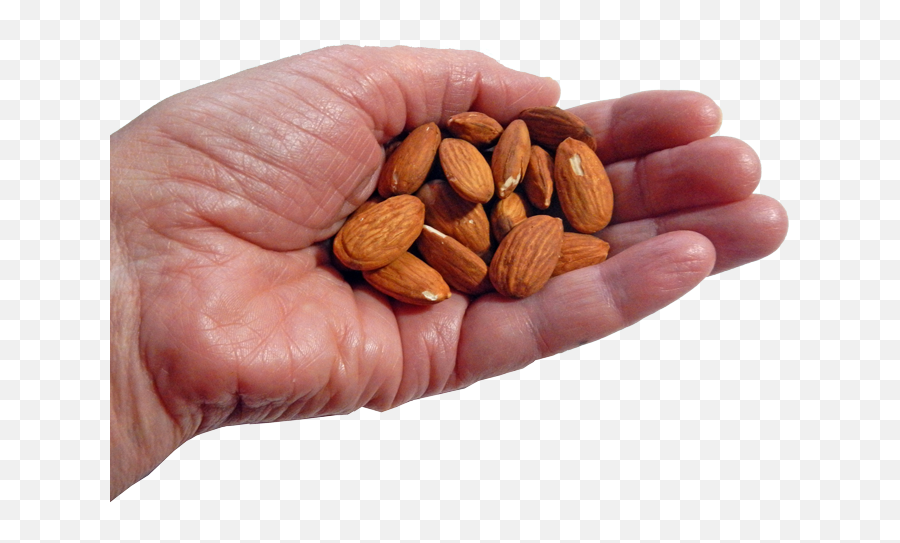 Nuts And Your Health - Handful Png Emoji,Nuts Png
