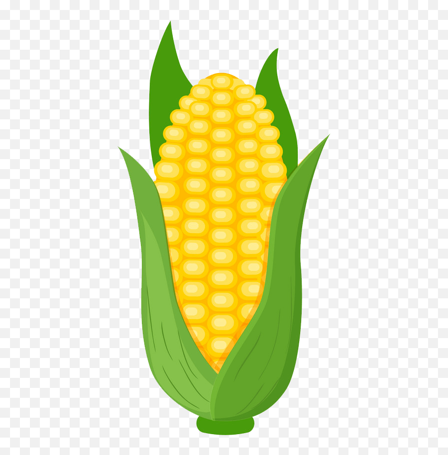Corn Clipart Transparent 1 - Corn Clipart Emoji,Corn Clipart