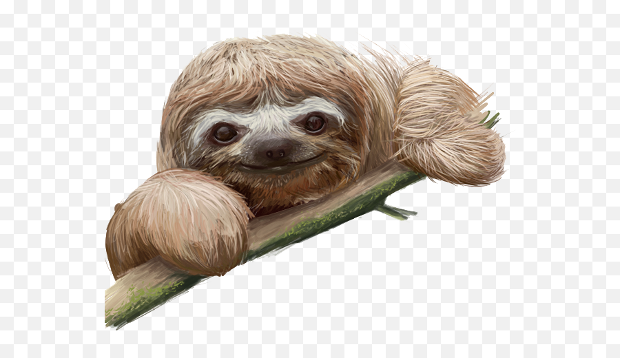 Free Sloth Transparent Download Free - Transparent Sloth Png Emoji,Sloth Clipart