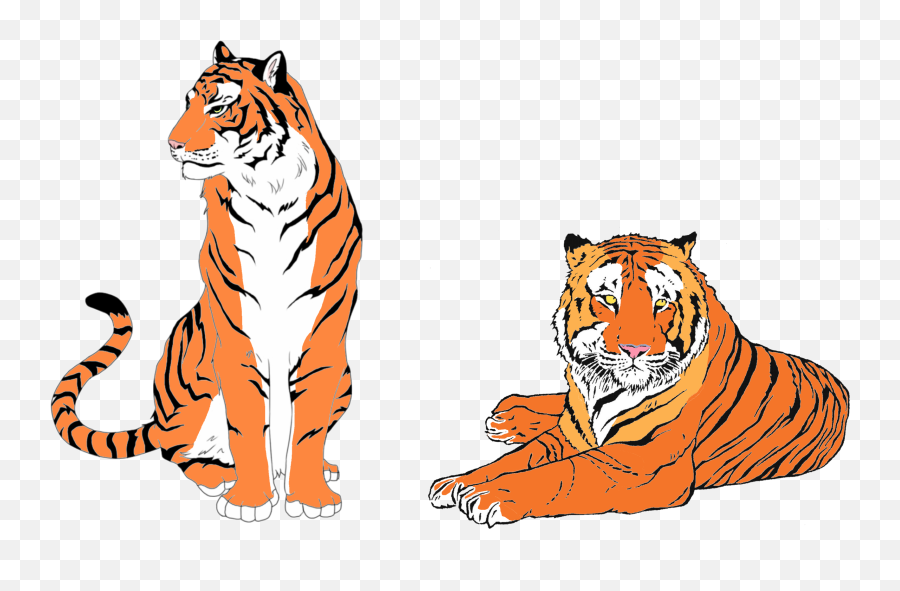 Tiger Subspecies Habitat Map - Tiger Distribution Map Emoji,Tiger Stripes Clipart