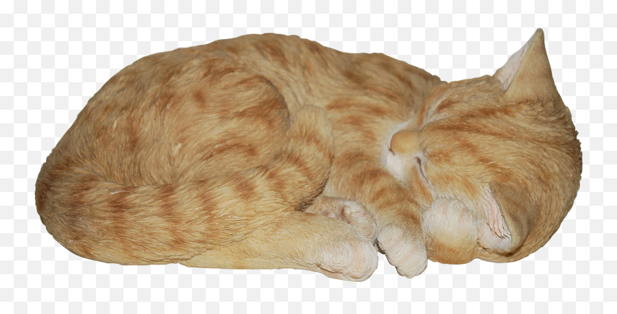 Download Related - Orange Cat Garden Statue Full Size Png Emoji,Orange Cat Png