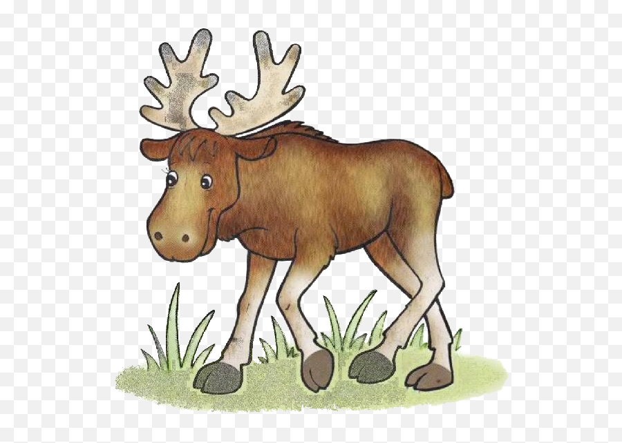 Moose Reindeer Forest Clip Art - Reindeer Png Download 602 Emoji,Free Moose Clipart