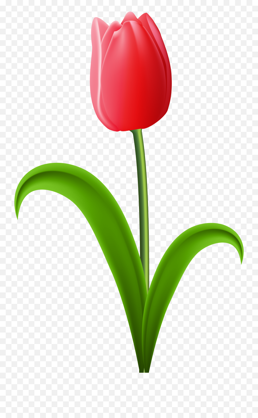 Tulip Clipart Transparent Background - Clipart Tulip Transparent Background Emoji,Tulip Clipart