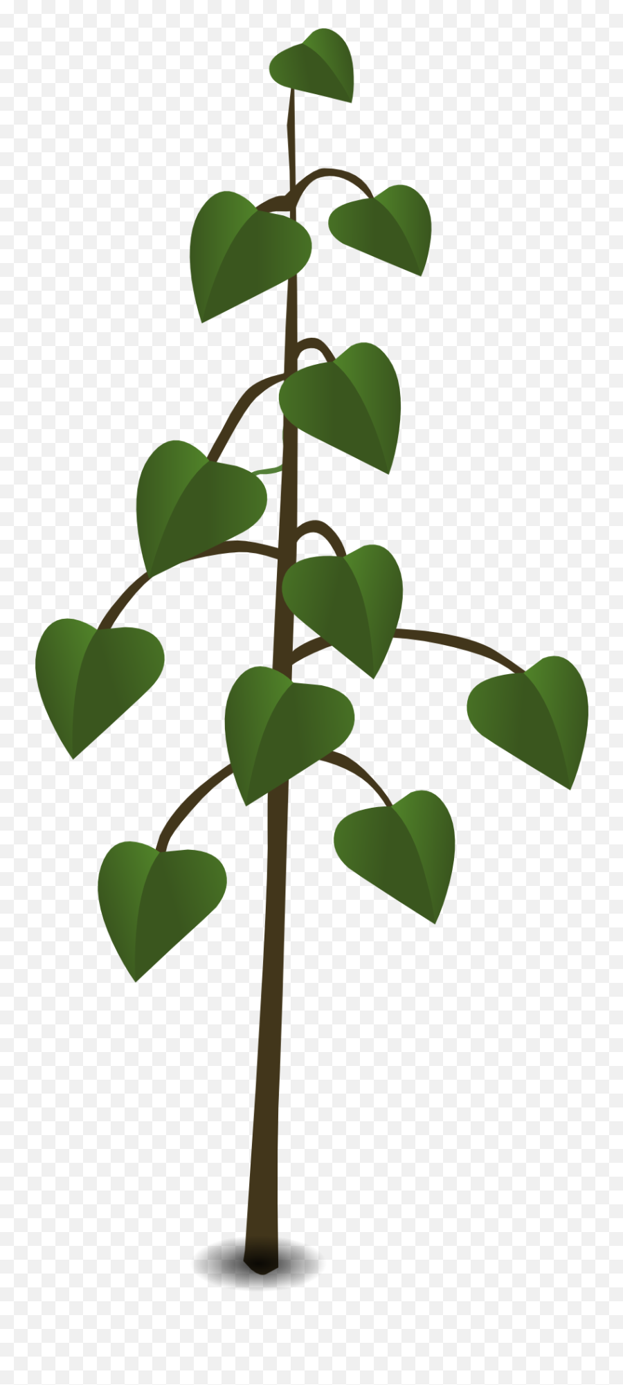 Green Plant Leaves Vector Drawing Free Image Download Emoji,Leaf Vector Png
