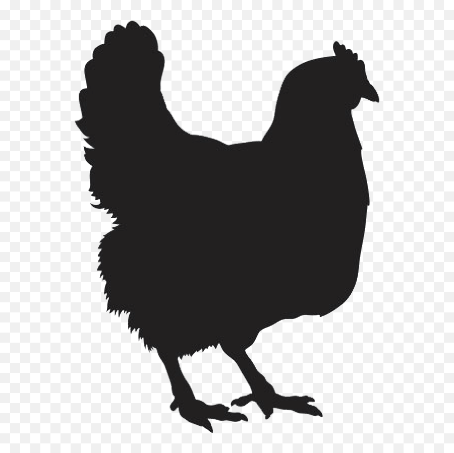 Raven Bird Png Clipart - American Crow Emoji,Raven Clipart