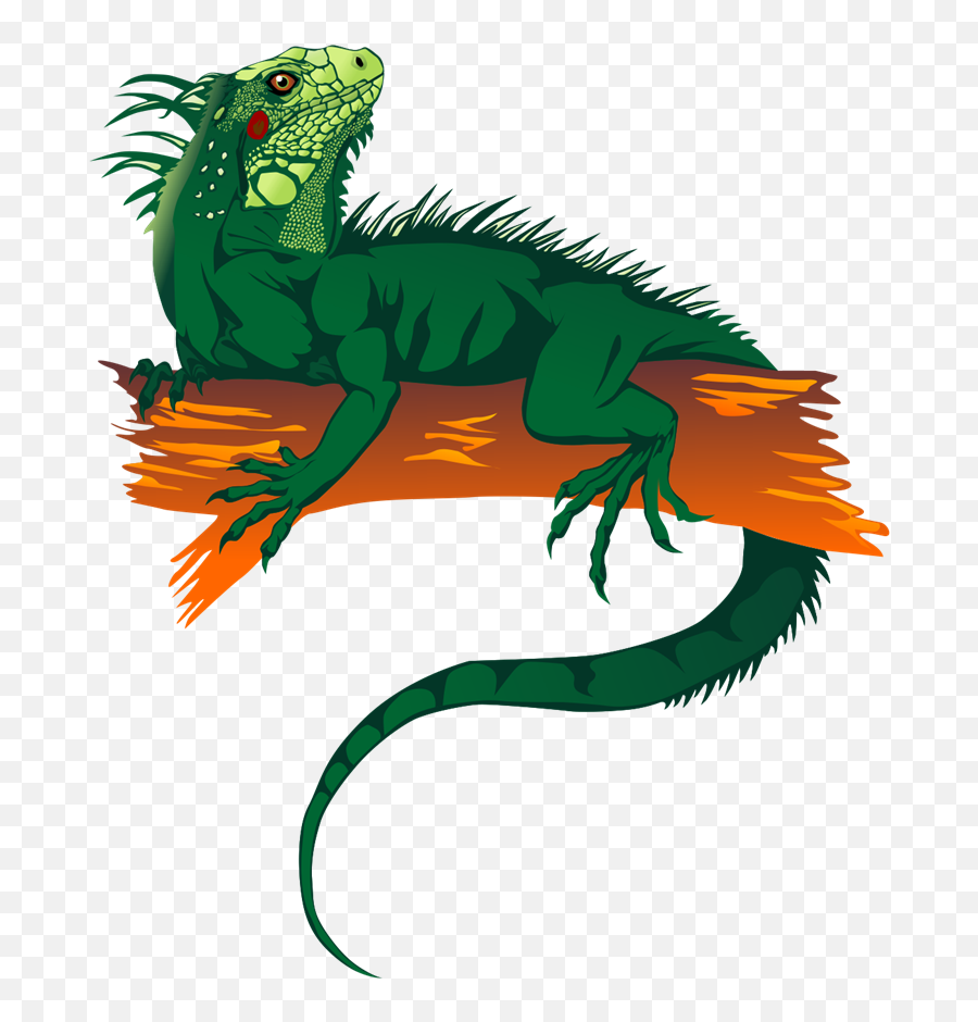 Free To Use U0026 Public Domain Lizards Clip Art - Iguana Iguana Clipart Webstockreview Emoji,Public Domain Clipart