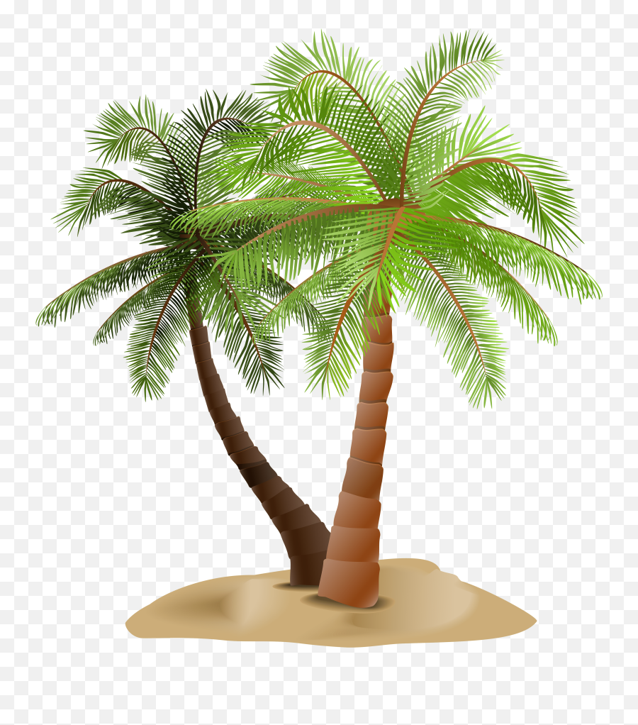 Palm Tree Png - Clip Art Desert Palm Tree Emoji,Palm Tree Png