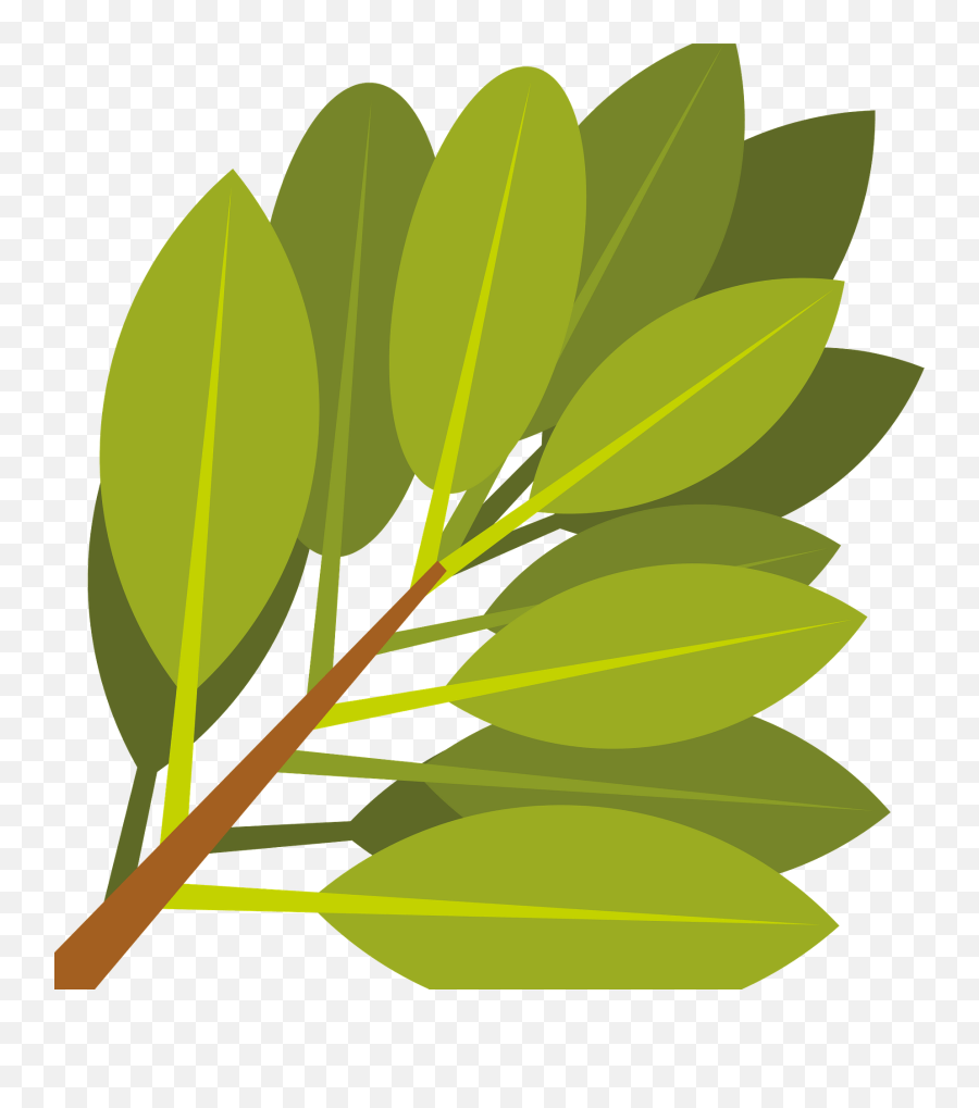 Branch With Green Leaves Clipart - Twig Emoji,Leaves Clipart
